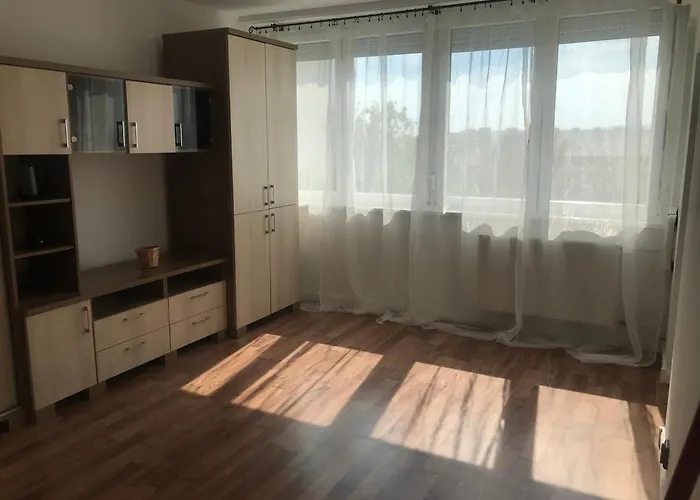 Pillango Parki Kis Lakas 15 Percre A Belvarostol Daire Budapeşte